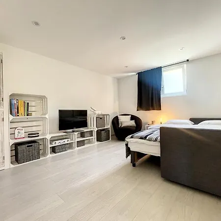 Moderne Avec Terrasse Et Piscine A Chatel Sur * بيش