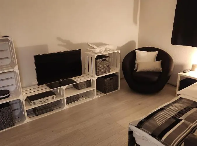 Moderne Avec Terrasse Et Piscine A Chatel Sur Appartement