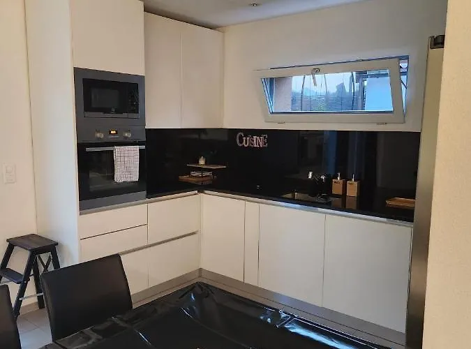 Moderne Avec Terrasse Et Piscine A Chatel Sur Appartement